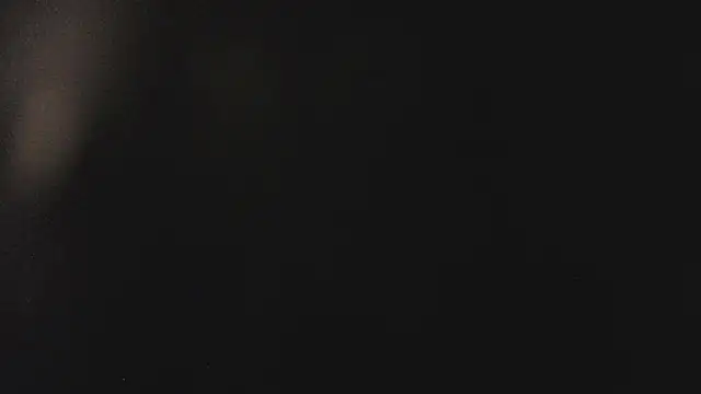 Snapshot of Fancy_Vixen chatting on February 2026 03:50:01 AM Fancy Vixen online show from February 2026 03:50:01 AM