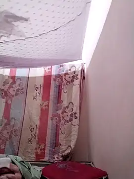 Snapshot of -Bami- chatting on February 2026 12:52:02 AM -Bami- online show from February 2026 12:52:02 AM