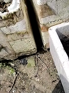 Queen-love45 online show from March 2026 03:41:02 AM