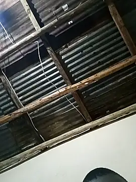 dwalez online show from November 2025 07:36:02 PM