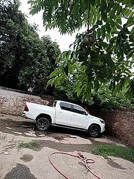 Snapshot of leo85rf chatting on February 2026 07:18:01 PM leo85rf online show from February 2026 07:18:01 PM