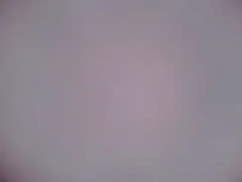 Snapshot of Luanatrav1 chatting on February 2026 07:31:02 AM Luanatrav1 online show from February 2026 07:31:02 AM