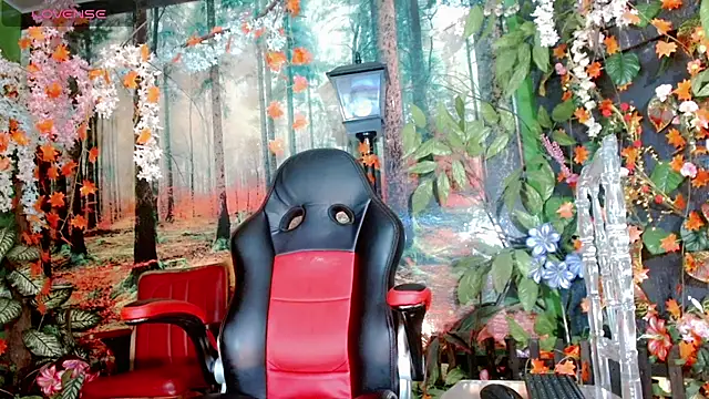 stiffy lopez online show from February 2026 11:28:02 AM