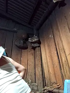 Snapshot of lena-cute chatting on February 2026 12:54:01 PM lena-cute online show from February 2026 12:54:01 PM