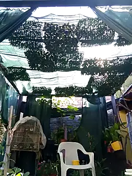 Snapshot of gordorichard chatting on February 2026 12:39:02 PM gordorichard online show from February 2026 12:39:02 PM