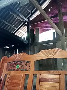 Snapshot of bongtuyet11 chatting on February 2026 05:51:01 AM bongtuyet11 online show from February 2026 05:51:01 AM