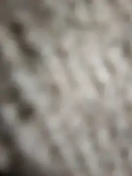 Snapshot of Flexxxo09 chatting on February 2026 02:01:02 PM Flexxxo09 online show from February 2026 02:01:02 PM