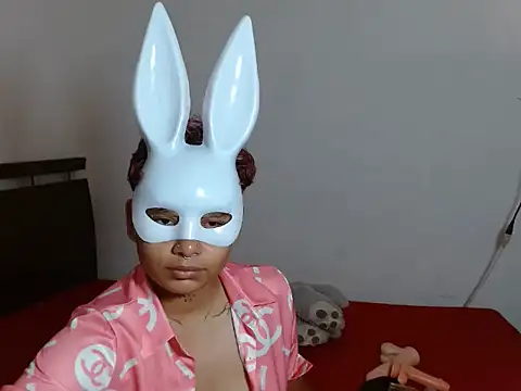 scarletfox  3 online show from February 2026 04:38:01 AM