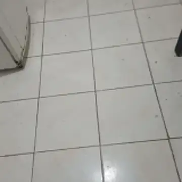 xxxxxbucetudaxxxxxxx online show from February 2026 11:47:02 AM