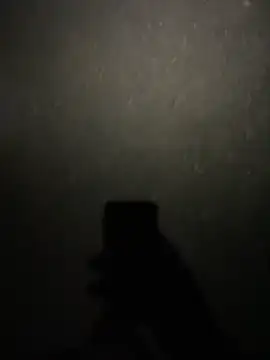 stallone italiano 62 online show from February 2026 08:47:01 PM