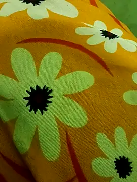 Snapshot of Ranjet01 chatting on February 2026 01:29:02 PM Ranjet01 online show from February 2026 01:29:02 PM