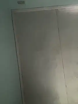 collenP online show from February 2026 02:39:01 PM