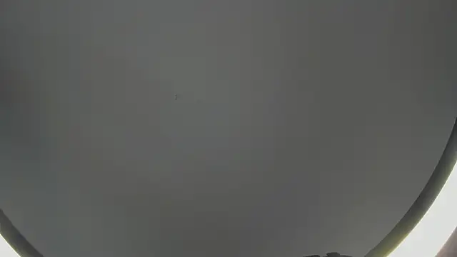 Snapshot of SinLickerr chatting on February 2026 07:43:01 PM SinLickerr online show from February 2026 07:43:01 PM