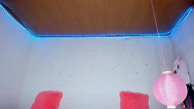 karol kane online show from February 2026 12:45:02 AM