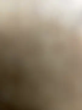 lopes22246 online show from February 2026 11:23:01 PM