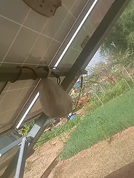 mastmalai online show from March 2026 04:39:02 AM