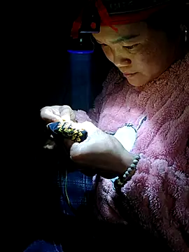 nelina 12345 online show from February 2026 01:51:01 PM