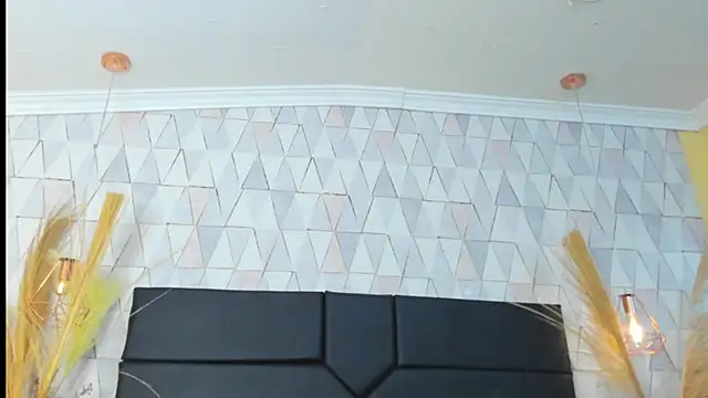 Snapshot of AronGarcia chatting on February 2026 11:16:02 PM AronGarcia online show from February 2026 11:16:02 PM