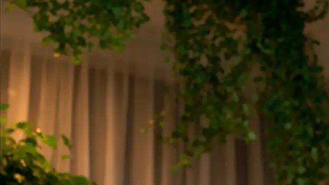 Snapshot of TheMaddisonShow_ chatting on March 2026 03:56:01 AM TheMaddisonShow online show from March 2026 03:56:01 AM