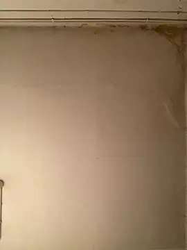  Sabah  online show from February 2026 10:07:01 PM