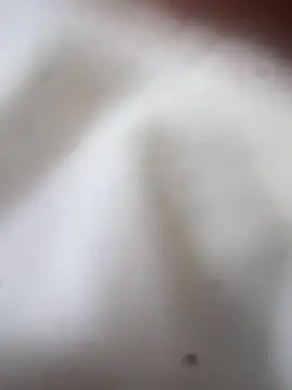 Jaybraconect online show from February 2026 05:08:02 AM