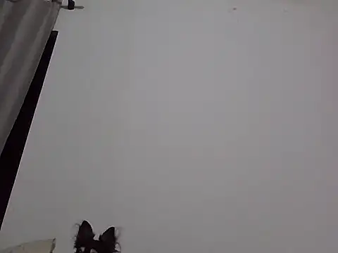 Snapshot of machodotado97 chatting on March 2026 05:41:01 AM machodotado97 online show from March 2026 05:41:01 AM