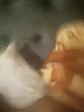 InferredPloce online show from April 2026 11:18:01 PM