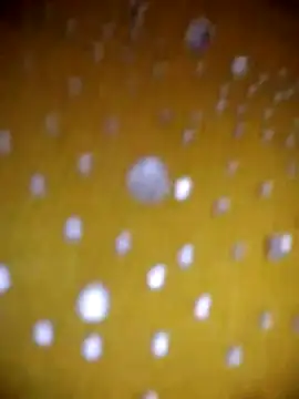 Snapshot of Vycute9900 chatting on March 2026 01:02:01 PM Vycute9900 online show from March 2026 01:02:01 PM