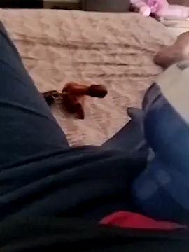 smallthickdick115 online show from March 2026 06:19:02 AM