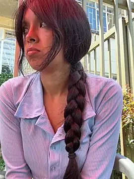 Cat kitten online show from February 2026 04:19:02 PM