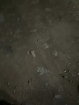 Snapshot of parth73637 chatting on February 2026 02:47:02 PM parth73637 online show from February 2026 02:47:02 PM