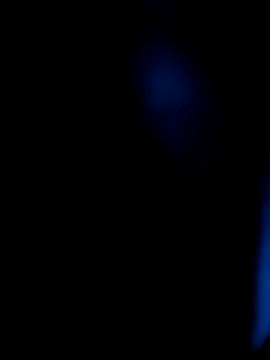 AppleMiel online show from March 2026 03:10:01 AM