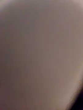 skynct2007 online show from February 2026 05:38:01 AM