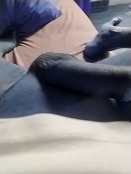 casal spzl online show from March 2026 10:08:01 AM