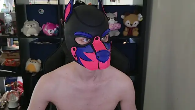 Snapshot of MellPUP chatting on April 2026 06:03:02 PM MellPUP online show from April 2026 06:03:02 PM