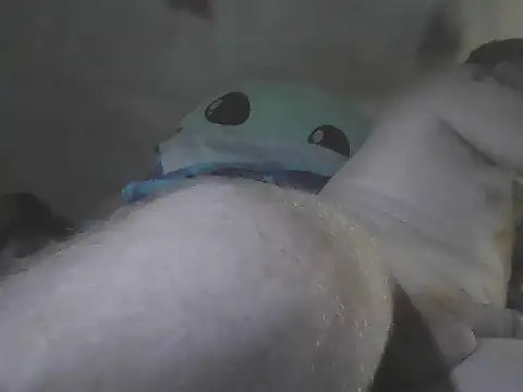 GingerTitan8 online show from July 2026 02:02:02 AM