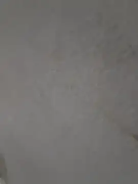 Snapshot of Casandraxquesi chatting on March 2026 04:13:02 PM Casandraxquesi online show from March 2026 04:13:02 PM