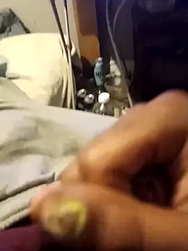 mrbigggiess online show from March 2026 03:55:01 AM