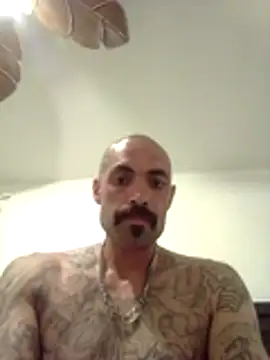 wesstfine online show from May 2026 04:41:01 AM