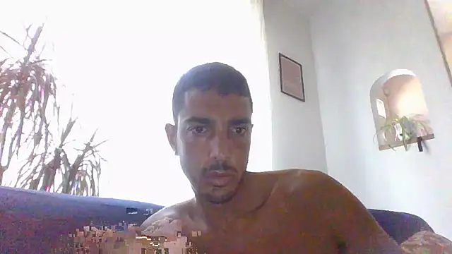 Bucefalo2024 online show from July 2026 08:29:01 AM