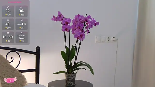 AnisLane online show from May 2026 06:07:02 AM