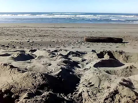 dog-naked online show from January 2025 10:26:01 PM