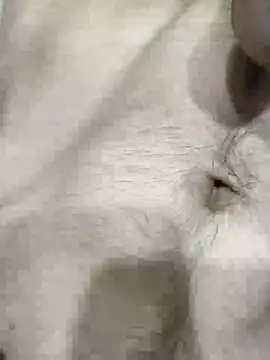 Snapshot of pussyedestroyer chatting on May 2026 02:09:02 AM pussyedestroyer online show from May 2026 02:09:02 AM