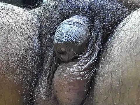 Snapshot of indiboy009 chatting on September 2025 07:35:01 PM indiboy009 online show from September 2025 07:35:01 PM