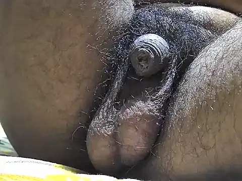 Snapshot of indiboy009 chatting on September 2025 06:31:01 PM indiboy009 online show from September 2025 06:31:01 PM