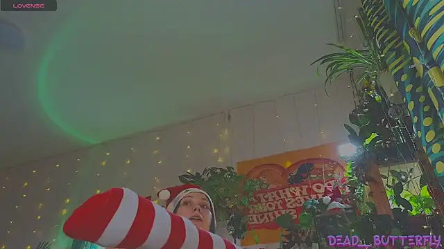 Dead Butterfly online show from December 2024 04:15:02 AM