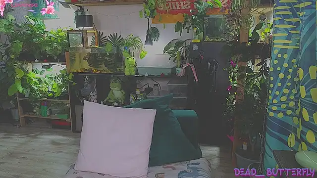 Dead Butterfly online show from February 2025 04:20:01 AM