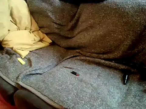 Truganini1 online show from December 2024 08:27:02 AM