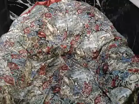 ASIANDOLLY4U online show from November 2025 12:19:02 PM