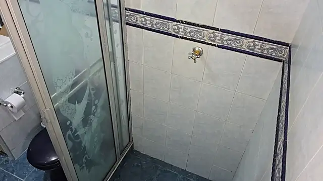 Snapshot of VikoHands chatting on December 2025 10:05:01 PM VikoHands online show from December 2025 10:05:01 PM